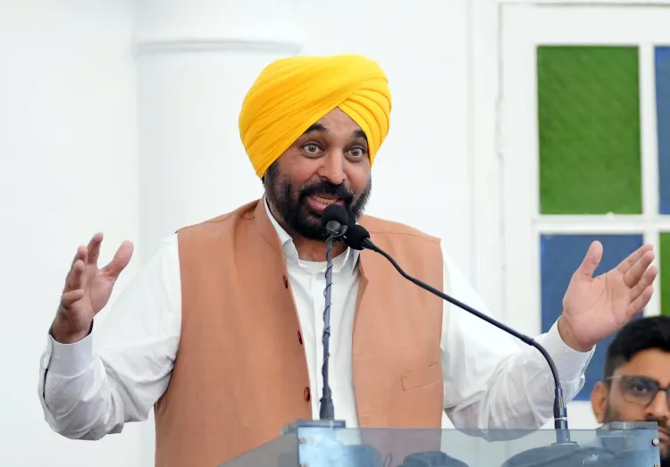Will the Punjab Cabinet's New Bill Make Spurious Seed Sales a Non-Bailable Offence?
