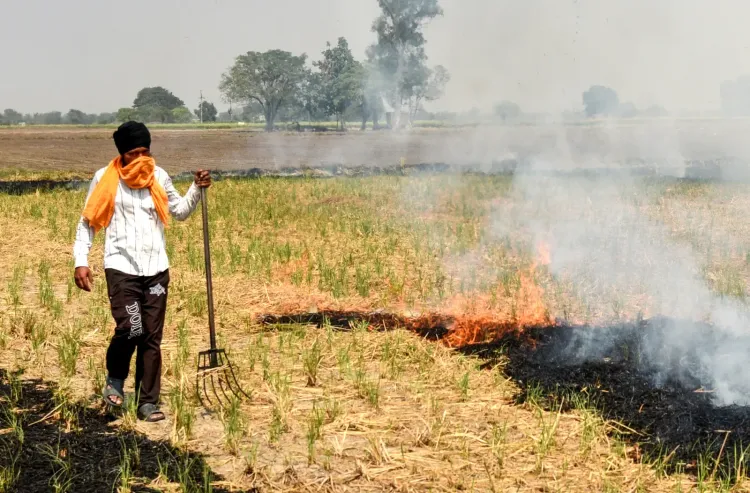 पंजाब में पराली जलाने पर सख्ती: 26 सितंबर तक 40 घटनाएँ दर्ज, 8 किसानों पर ₹40,000 जुर्माना