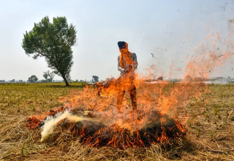 Punjab stubble burning: 717 incidents recorded, 24 FIRs filed in Amritsar