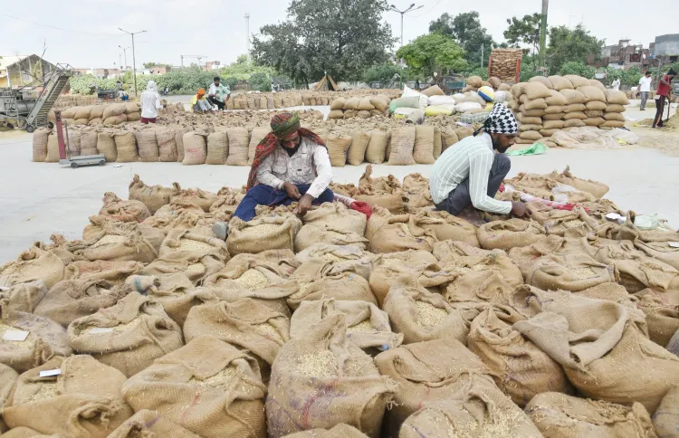 Is Punjab Ready to Procure 172 Lakh Metric Tonnes of Paddy?