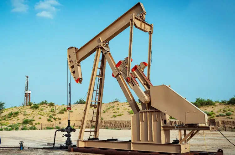Puri hails Oil India's new gas find in Rajasthan's Dandewala Field