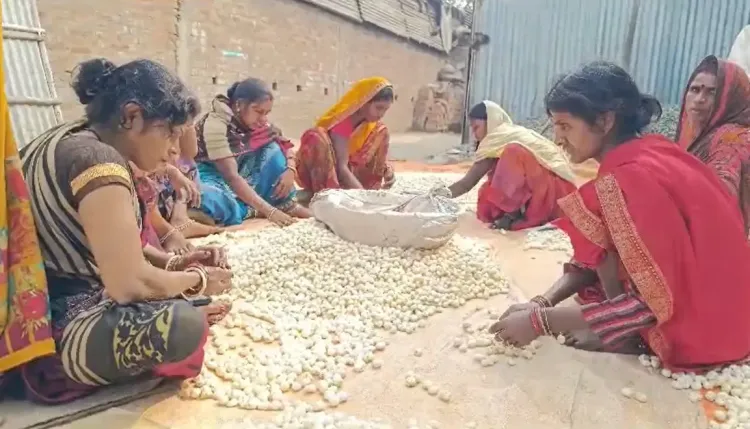 मन की बात में मोदी ने किया पूर्णिया के मखाने का जिक्र, युवा उद्यमी मखाना कारोबार से जुड़ रहे