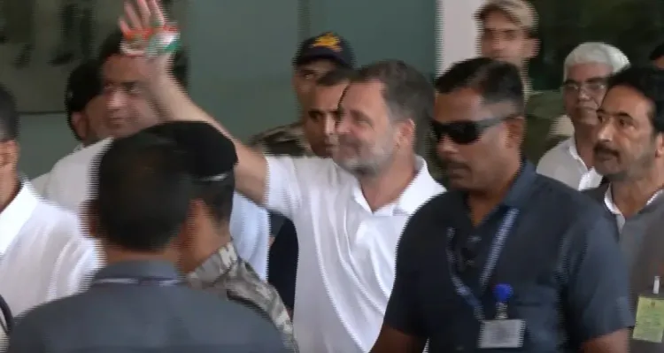 Rahul Gandhi in Chennai to address Tamil Nadu Congress district chiefs at Mamallapuram
