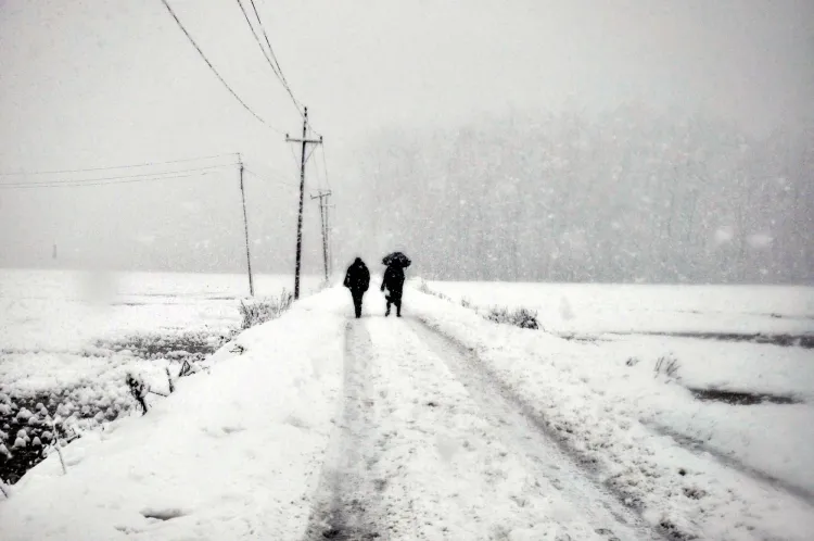 Heavy Rainfall Hits Jammu and Kashmir, Snowfall Recorded in Higher Elevations