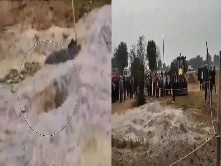 Rajasthan: Rescue Operations Ongoing for 3-Year-Old Girl Trapped in 700-Foot Borewell