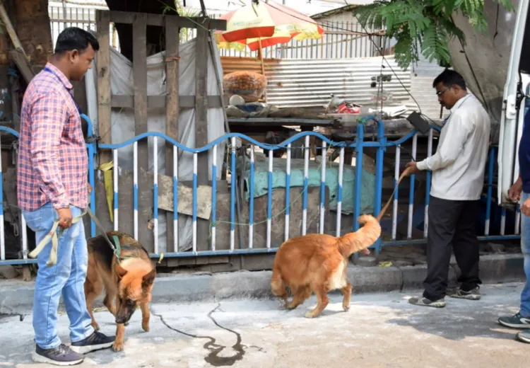 What Triggered the Bomb Threat at Jodhpur Collectorate?