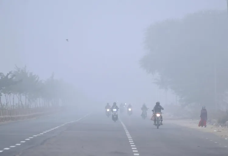 Why Are Schools in 20 Districts of Rajasthan Closed Due to Dense Fog?