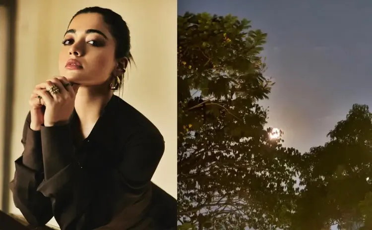 Rashmika Mandanna Resumes Night Shoots for 'Thama'