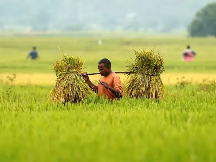 Regenerative agriculture gains ground in India to restore soil health, lift farm resilience