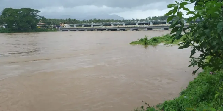 Kerala floods: Animal rescue ops underway in Pathanamthitta, 2,500 animals at risk