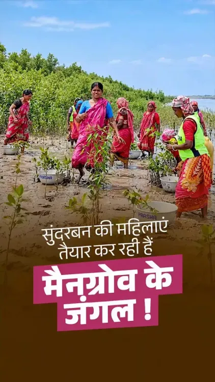 Rijiju Spotlights Sundarbans Women Restoring Mangroves