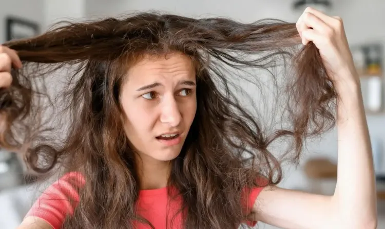 क्या रूखे और फ्रिजी बालों से परेशान हैं? यह नेचुरल हेयर पैक देगा मुलायम और मजबूत बाल