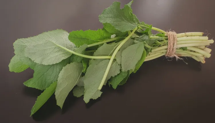 क्या सर्दियों में सरसों का साग सेहत का कवच और स्वाद का साथी है?