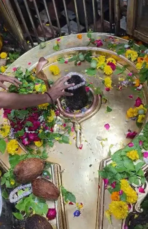 सावन प्रथम सोमवार: ओंकारेश्वर-ममलेश्वर ज्योतिर्लिंग में लाखों श्रद्धालु, शाही सवारी आज