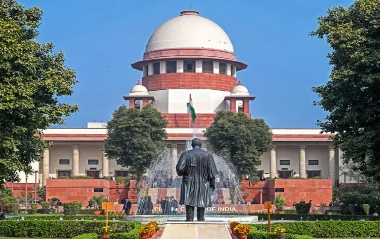 Supreme Court orders Kerala to take custody of elephant Raman, caretaker held in contempt
