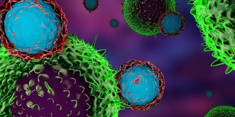 Researchers Explore Innovative Antibody to Combat Treatment-Resistant Cancers