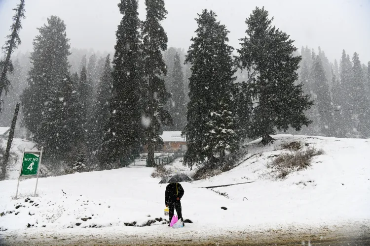 Will the First Snowfall of the Season Transform Kashmir into a Winter Wonderland?