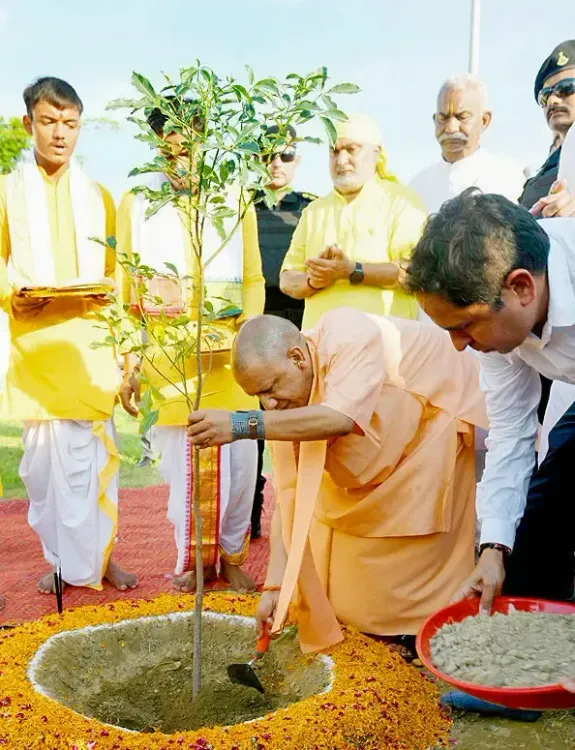 क्या सेवा पर्व के अंतर्गत देश में 1.25 करोड़ पौधे लगाए जाएंगे, यूपी को मिला 15 लाख पौधरोपण का लक्ष्य?
