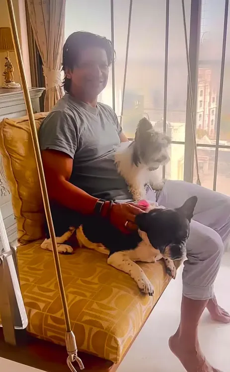 Shaan shares cosy moment with pet dogs, calls them his 'dopamine'