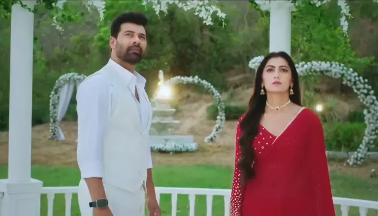Shabir Ahluwalia on Rakshit's proposal to Aparajita in 'Tum Dena Saath Mera'