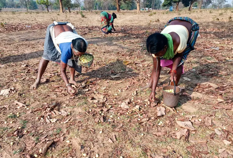 Rural, tribal budgets surge as Centre pushes inclusive growth in 2026-27