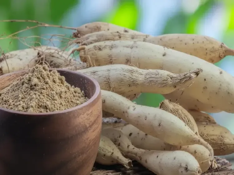 क्या शतावरी सिर्फ महिलाओं के लिए है या पुरुषों के लिए भी यह वरदान है?