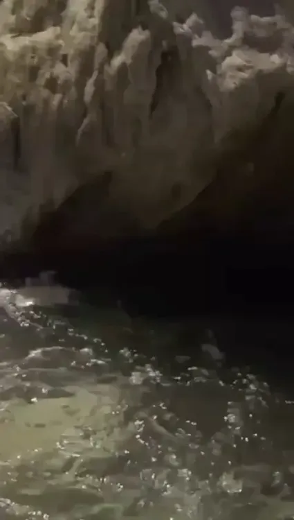 Shekhawat Hails Ganga's Ecological Revival Under Namami Gange