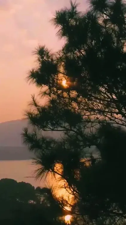 Shekhawat Spotlights Meghalaya's Umiam Lake Tourism
