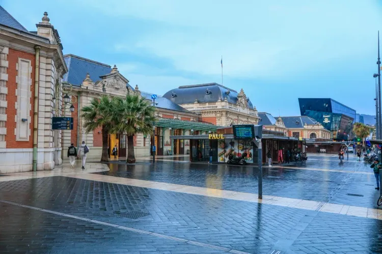 शी चिनफिंग ने फ्रांस में चीनी भाषा कक्षा के शिक्षकों और छात्रों को प्रेरणादायक पत्र भेजा