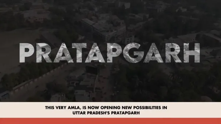 Shivraj flags Pratapgarh Amla boom, 100 processing units