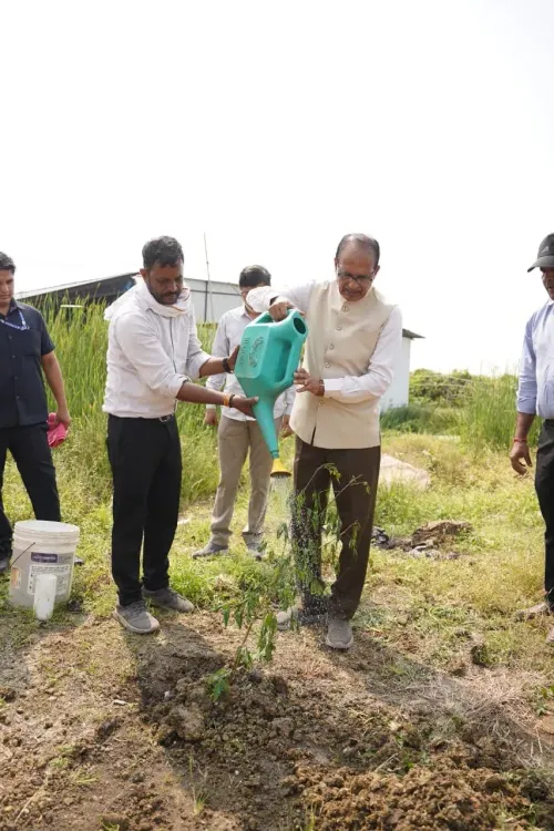 Shivraj plants sapling in Vidisha, urges daily tree pledge
