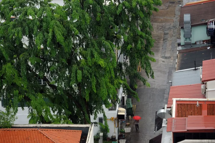 Singapore Allocates 110 Million USD for Drainage Enhancement Amid Flood Risks