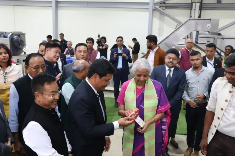 Sitharaman highlights ₹30-32 cr organic spice unit in Meghalaya