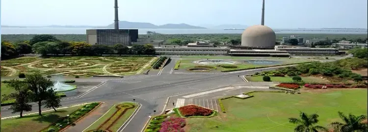 Will Small Modular Reactors Be Deployed at Brownfield Sites?