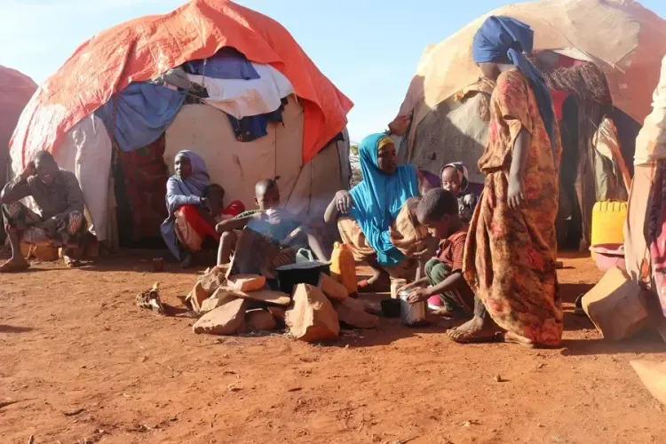 Somalia and UN Introduce $95 Million Initiative to Combat Climate Change