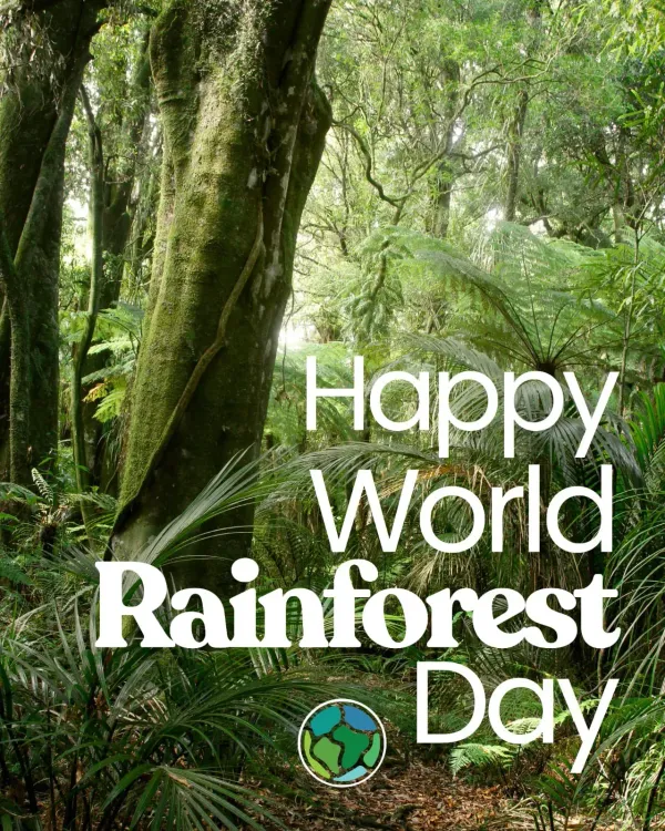 Sonowal calls for rainforest protection on World Rainforest Day