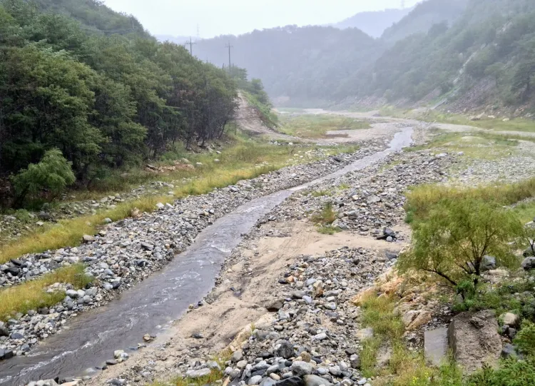 Has the Water Storage Rate in Gangneung Finally Increased After 52 Days?