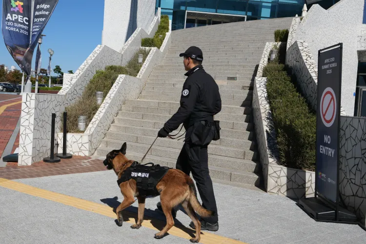 Are World Leaders Arriving in Gyeongju for the APEC Summit?