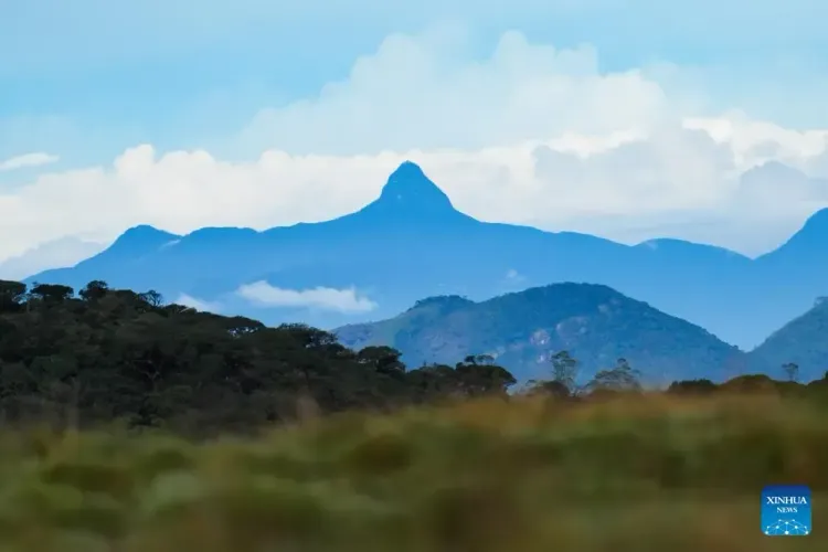 How is Sri Lanka Strengthening Forest and Wildlife Protection?