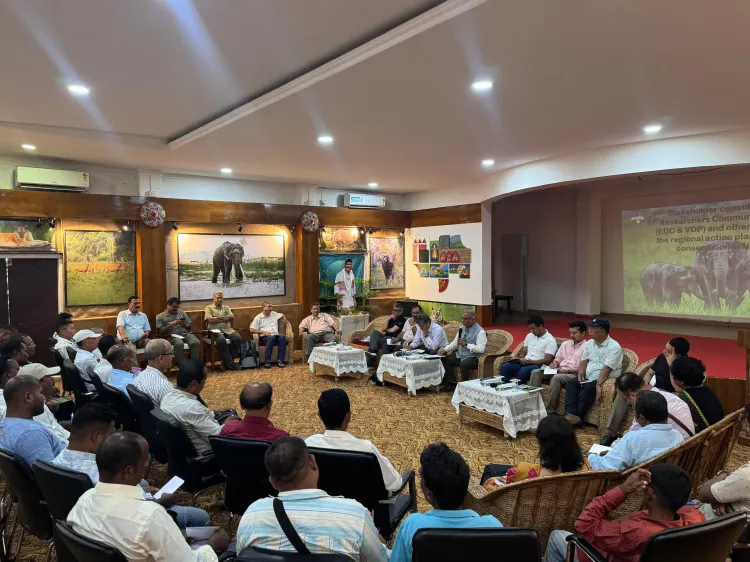What Are the Outcomes of the Stakeholders' Meeting on Elephant Conservation in Northeast?