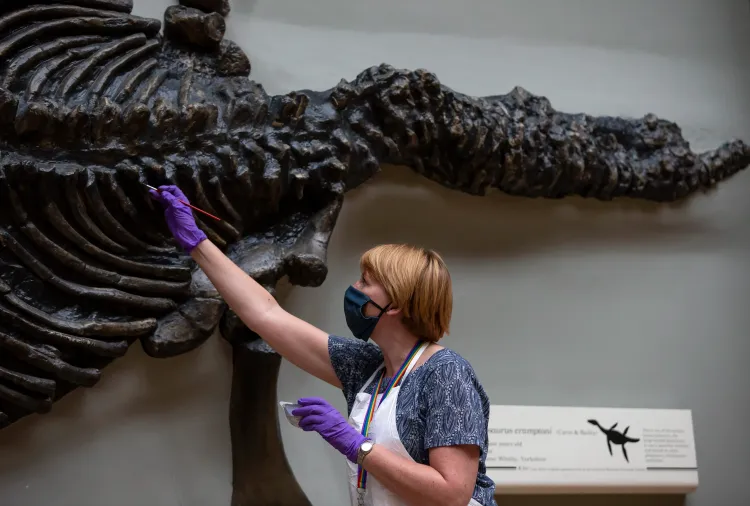 What Secrets of Ancient Life Can We Uncover from Fossilized Feces?