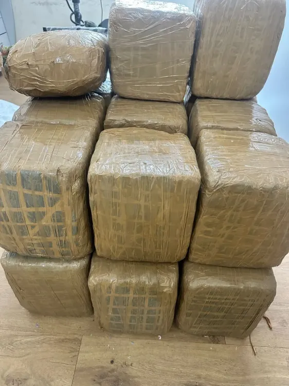 NCB का बड़ा ऑपरेशन: चेन्नई में 200 किलो गांजा जब्त, अंतर-राज्यीय ड्रग नेटवर्क का भंडाफोड़