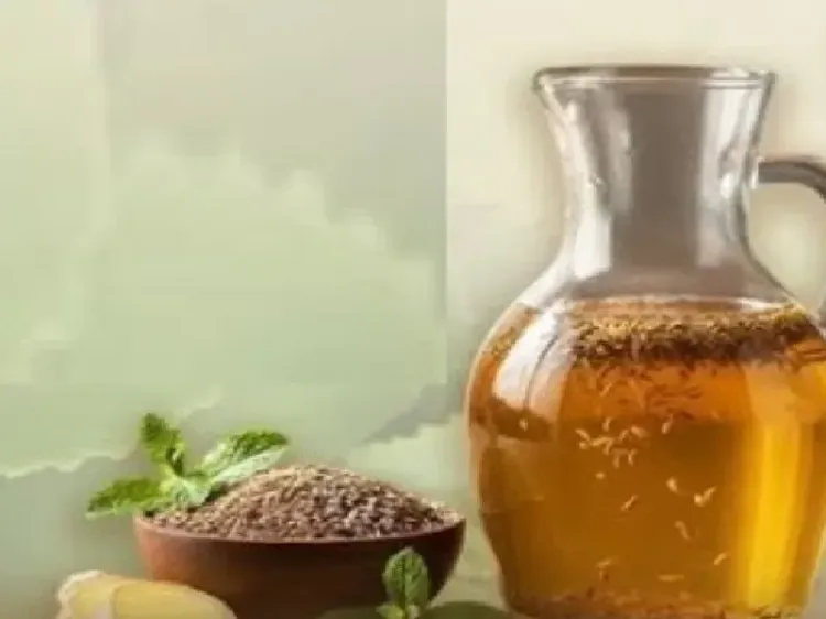 माइग्रेन में अजवाइन का असर: थाइमोल, गट-ब्रेन कनेक्शन और घरेलू उपाय — जानें विज्ञान क्या कहता है