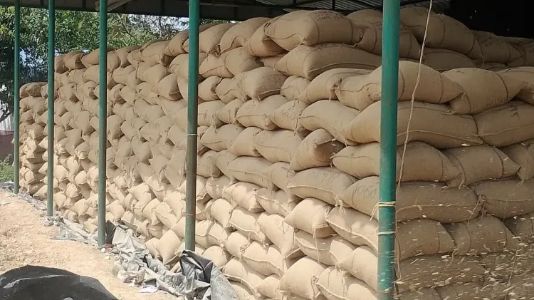 TN delta paddy procurement stalls as 15,000-bag backlog piles up at open centres