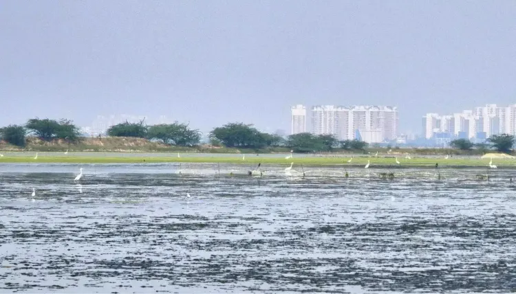 Mamallan reservoir in Chengalpattu built 30% without fisheries NOC