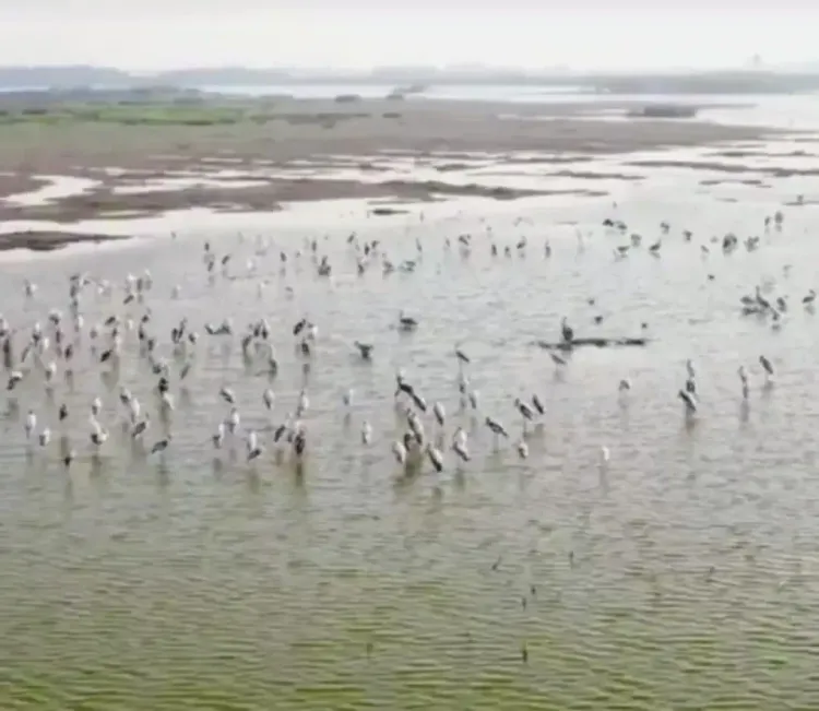 Is Tamil Nadu Proposing the Samanatham Tank as a Ramsar Site for Wetland Conservation?