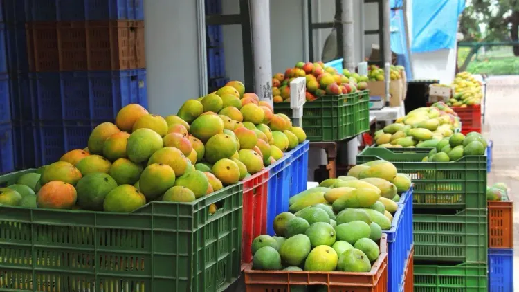 Tamil Nadu mango industrial corridor: 5 processing parks planned for Dharmapuri-Krishnagiri