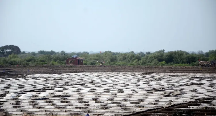 TN salt producers urge CM Vijay to fast-track lease renewals on 3,500-acre govt land