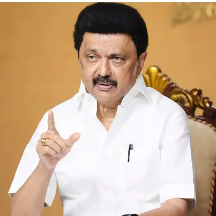 Is Tamil Nadu Reviving the Stalled Ennore Thermal Project to Meet Electricity Demand?