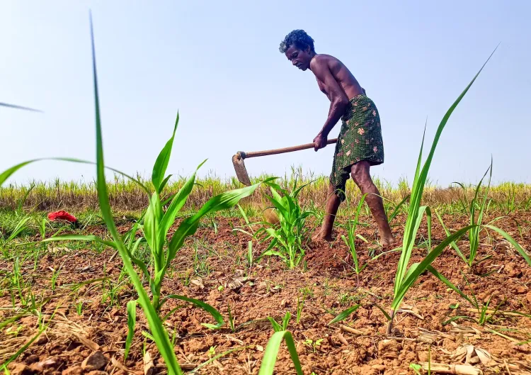 Kharif sowing 2025: India's total area at 84.6 lakh hectares as of June 12